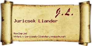 Juricsek Liander névjegykártya